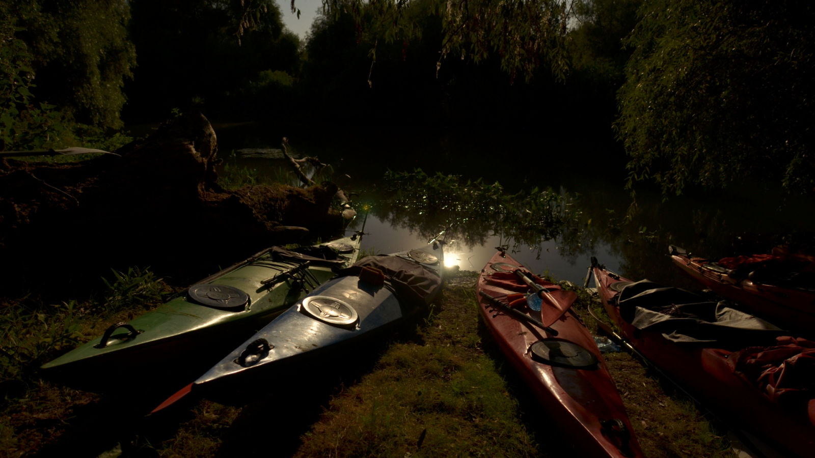 moonlight paddle